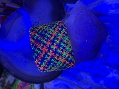 Pulseira de Macramê Ponto Ossinho na internet