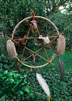Pentagrama de Ossos