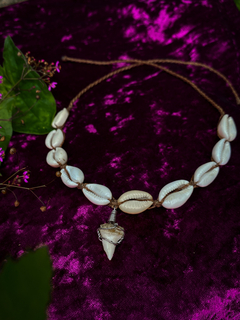 Choker de Búzios com Dente de Tubarão