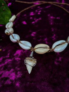 Choker de Búzios com Dente de Tubarão - comprar online
