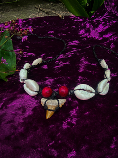 Choker de Búzios com Dente Fóssil - comprar online