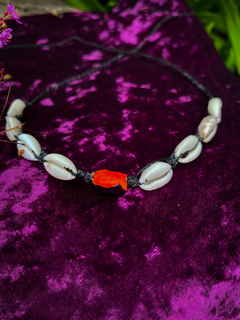 Choker de Búzios com Semente Olho de Cabra - comprar online