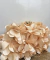 Clutch Floral - comprar online