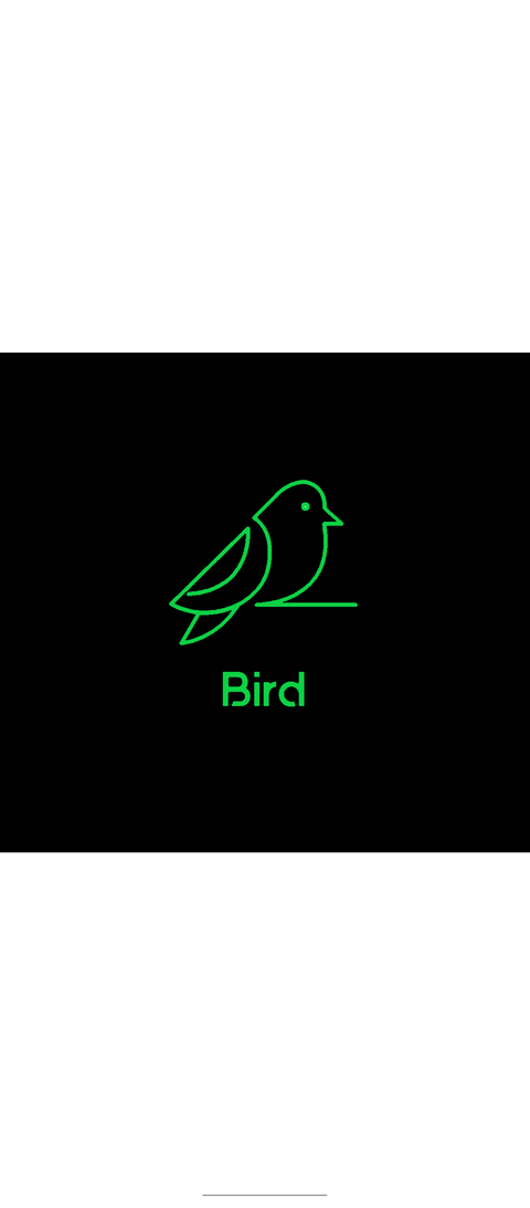 Bird Store