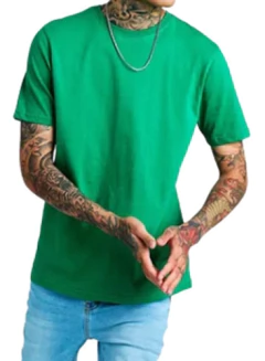 Remera Lisa Algodon 100% Premium Todos Los Talles Y Colores