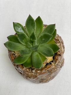 Vasinho de Cerâmica Vitrificada, feito à mão. - comprar online