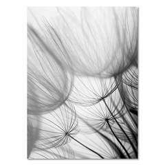 Pintura moderna em tela de dente-de-leão, preto, branco, desejo, citação, pôster, imagem, impressão, imagem para decoração de sala de estar interior