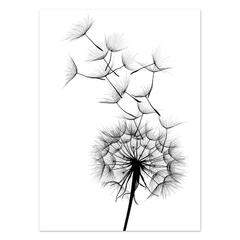 Pintura moderna em tela de dente-de-leão, preto, branco, desejo, citação, pôster, imagem, impressão, imagem para decoração de sala de estar interior - comprar online