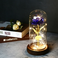 Presente de Dia dos Namorados 2022 LED Galáxia Encantada Rosa Eterna Flor de Folha de Ouro 24K com Luzes de Corda de Fada na Cúpula para Capina - comprar online