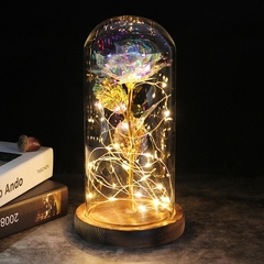 Presente de Dia dos Namorados 2022 LED Galáxia Encantada Rosa Eterna Flor de Folha de Ouro 24K com Luzes de Corda de Fada na Cúpula para Capina