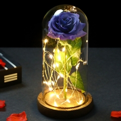Presente de Dia dos Namorados 2022 LED Galáxia Encantada Rosa Eterna Flor de Folha de Ouro 24K com Luzes de Corda de Fada na Cúpula para Capina na internet