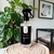 Home Spray Alecrim - Belize Candles