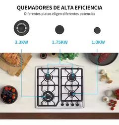 Parrilla A Gas Acero Inoxidable 4 Quemadores NOVA Steel 60-B en internet