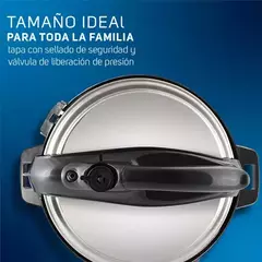 Olla Eléctrica Taurus Quick Pro - comprar en línea