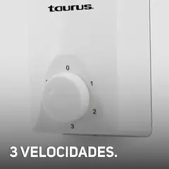 Imagen de Ventilador de techo TAURUS APUS