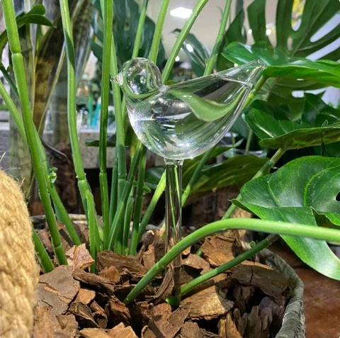 Regador Passarinho Vidro 5x10x24,5cm. - comprar online