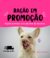 Cachorros