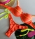 Biquini Havaí (laranja/amarelo neon) - comprar online