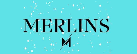 Merlins comerce