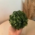 Buchinho artificial - 13cm - comprar online