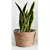 Cesto Decorativo de Palha para Plantas - 23cm Altura x 28cm Diâmetro - comprar online