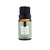 Essência Via Aroma Coleção Clássica 10ml - comprar online