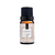 Essência Via Aroma Coleção Clássica 10ml - loja online