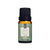 Essência Via Aroma Coleção Clássica 10ml - comprar online