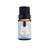 Essência Via Aroma Coleção Clássica 10ml - Ateliê Arte & Decor | CASA & DECORAÇÃO 