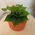 Buquê de folhagens verde Artificial 30cm - comprar online