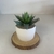 Vaso decorativo c/ planta artificial - loja online