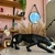 Leopardo Decorativo em Resina Preto 46cm - Mart - comprar online