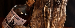 Banner da categoria Para a barba