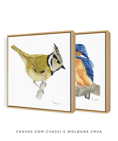 Conjunto de Dois Quadros Decorativos Pássaros em Aquarela Martim Pescador + Chapim-de-crista - Betania Sensini | Arte e Aquarela