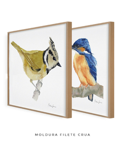 Conjunto de Dois Quadros Decorativos Pássaros em Aquarela Martim Pescador + Chapim-de-crista - loja online