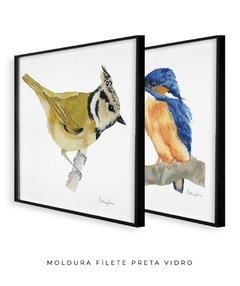 Conjunto de Dois Quadros Decorativos Pássaros em Aquarela Martim Pescador + Chapim-de-crista - loja online
