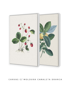 Conjunto de Quadros Decorativos Botânicos Morangos e Goiabeira - loja online