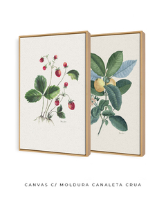 Imagem do Conjunto de Quadros Decorativos Botânicos Morangos e Goiabeira