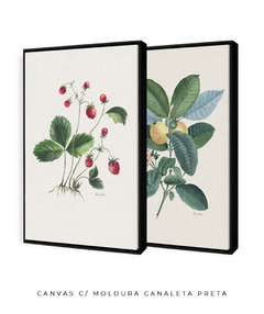 Conjunto de Quadros Decorativos Botânicos Morangos e Goiabeira - comprar online