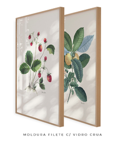Imagem do Conjunto de Quadros Decorativos Botânicos Morangos e Goiabeira