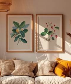 Conjunto de Quadros Decorativos Botânicos Morangos e Goiabeira