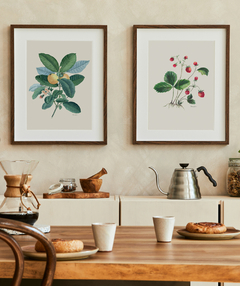 Conjunto de Quadros Decorativos Botânicos Morangos e Goiabeira - Betania Sensini | Arte e Aquarela