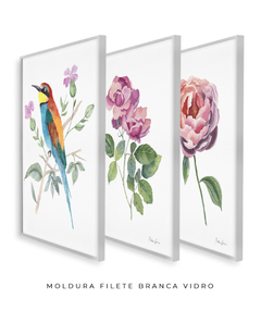 Conjunto de Três Quadros Decorativos Botânico Rosas e Abelharuco - loja online