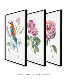 Conjunto de Três Quadros Decorativos Botânico Rosas e Abelharuco - Betania Sensini | Arte e Aquarela