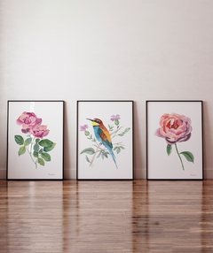 Conjunto de Três Quadros Decorativos Botânico Rosas e Abelharuco