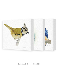 Conjunto de Três Quadros Decorativos Pássaros em Aquarela, Martim Pescador + Chapim-de-crista - comprar online