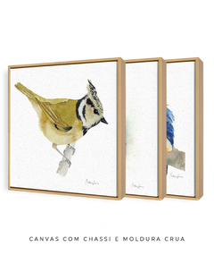 Conjunto de Três Quadros Decorativos Pássaros em Aquarela, Martim Pescador + Chapim-de-crista - Betania Sensini | Arte e Aquarela
