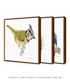 Conjunto de Três Quadros Decorativos Pássaros em Aquarela, Martim Pescador + Chapim-de-crista - loja online