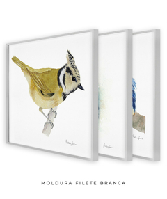 Conjunto de Três Quadros Decorativos Pássaros em Aquarela, Martim Pescador + Chapim-de-crista na internet