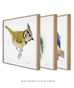 Conjunto de Três Quadros Decorativos Pássaros em Aquarela, Martim Pescador + Chapim-de-crista - loja online
